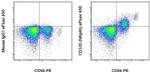 CD335 (NKp46) Antibody in Flow Cytometry (Flow)