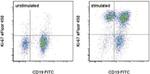 Ki-67 Antibody in Flow Cytometry (Flow)