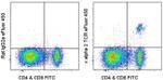 TCR V alpha 2 Antibody in Flow Cytometry (Flow)