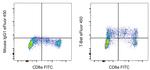 T-bet Antibody in Flow Cytometry (Flow)