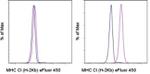 MHC Class I (H-2Kb) Antibody in Flow Cytometry (Flow)