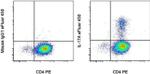 IL-17A Antibody in Flow Cytometry (Flow)