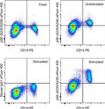 Phospho-S6 (Ser235, Ser236) Antibody in Flow Cytometry (Flow)