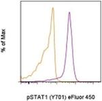 Phospho-STAT1 (Tyr701) Antibody in Flow Cytometry (Flow)