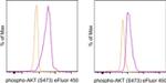 Phospho-AKT1 (Ser473) Antibody in Flow Cytometry (Flow)