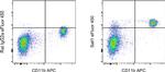 Sall1 Antibody in Flow Cytometry (Flow)