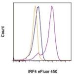 IRF4 Antibody in Flow Cytometry (Flow)