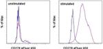 CD278 (ICOS) Antibody in Flow Cytometry (Flow)