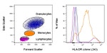 HLA-DR Antibody