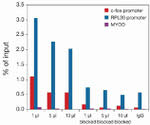 H3K27me3S28ph Antibody in ChIP Assay (ChIP)