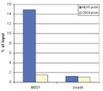 MBD1 Antibody in ChIP Assay (ChIP)