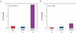 MECP2 Antibody in ChIP Assay (ChIP)