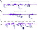 H3K36me2 Antibody in ChIP-Sequencing (ChIP-seq)