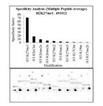 H3K27me1 Antibody in Peptide array (ARRAY)