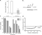 EZH2 Antibody in Western Blot (WB)