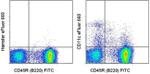 CD11c Antibody in Flow Cytometry (Flow)