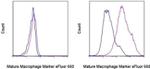 Mature Macrophage Marker Antibody in Flow Cytometry (Flow)