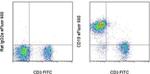 CD19 Antibody in Flow Cytometry (Flow)