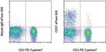 CD57 Antibody in Flow Cytometry (Flow)