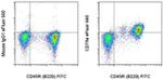 CD79a Antibody in Flow Cytometry (Flow)