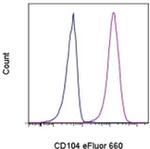 CD104 (Integrin beta 4) Antibody in Flow Cytometry (Flow)