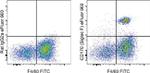 CD170 (Siglec F) Antibody in Flow Cytometry (Flow)