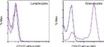 CD177 Antibody in Flow Cytometry (Flow)