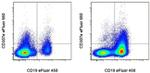 CD307e (FcRL5) Antibody in Flow Cytometry (Flow)