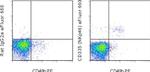 CD335 (NKp46) Antibody in Flow Cytometry (Flow)