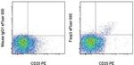 FOXP3 Antibody in Flow Cytometry (Flow)