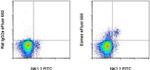 EOMES Antibody in Flow Cytometry (Flow)