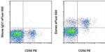 EOMES Antibody in Flow Cytometry (Flow)