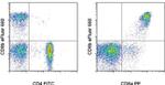 CD8b Antibody in Flow Cytometry (Flow)