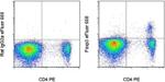 FOXP3 Antibody in Flow Cytometry (Flow)