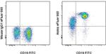 Aiolos Antibody in Flow Cytometry (Flow)