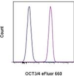 OCT3/4 Antibody in Flow Cytometry (Flow)