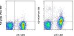 CD196 (CCR6) Antibody in Flow Cytometry (Flow)