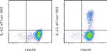 IL-22 Antibody in Flow Cytometry (Flow)