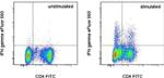 IFN gamma Antibody in Flow Cytometry (Flow)