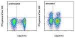 IFN gamma Antibody in Flow Cytometry (Flow)