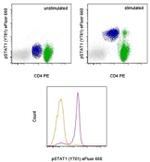 Phospho-STAT1 (Tyr701) Antibody in Flow Cytometry (Flow)