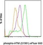 Phospho-ATM (Ser1981) Antibody in Flow Cytometry (Flow)