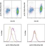 Phospho-LCK (Tyr505) Antibody in Flow Cytometry (Flow)