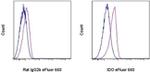 IDO Antibody in Flow Cytometry (Flow)