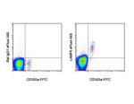 LAMP5 (BAD-LAMP) Antibody in Flow Cytometry (Flow)