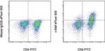 c-MAF Antibody in Flow Cytometry (Flow)