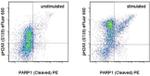 Phospho-Histone H2A.X (Ser139) Antibody in Flow Cytometry (Flow)