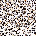 Phospho-Myc (Thr358) Antibody in Immunocytochemistry (ICC/IF)