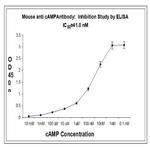 cyclic adenosine monophosphate (cAMP) Antibody in ELISA (ELISA)