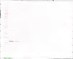 IL-1 beta Antibody in Western Blot (WB)